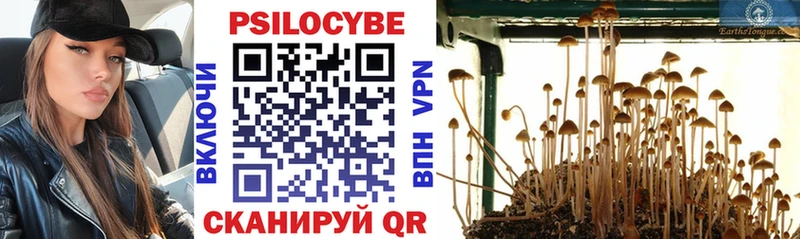 Псилоцибиновые грибы мицелий  Вяземский 